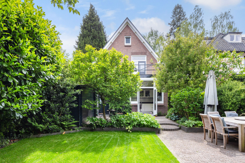 Foto 2 1000w